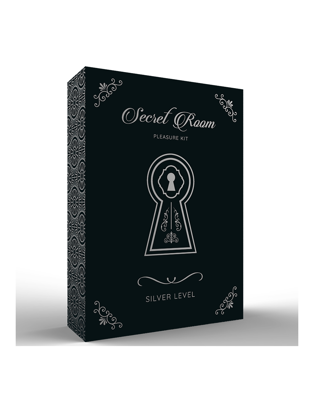 SECRETROOM PLEASURE KIT SILVER LEVEL 1 SECRETROOM PLEASURE KIT SILVER LEVEL 1