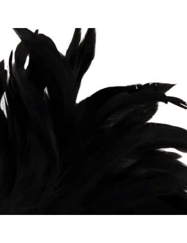 DARKNESS BLACK FEATHER  LUX