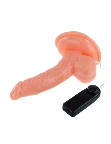 LY-BAILE SUPER ROTA DONG SUCTION