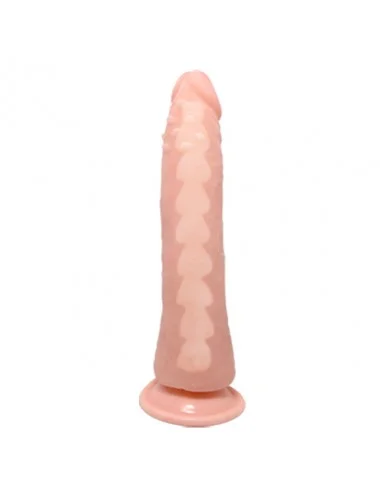 DANCE FIT REALISTIC TPR VERTEBRATE 20.1CM