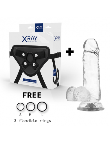 XRAY HARNESS + CLEAR COCK WITH BALLS 15.5CM X 3.5CM