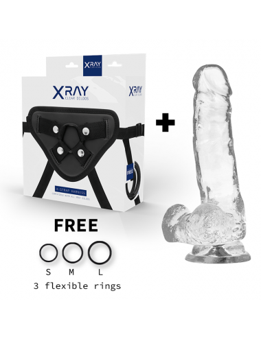 XRAY HARNESS + CLEAR COCK WITH BALLS 18.5CM X 3.8CM