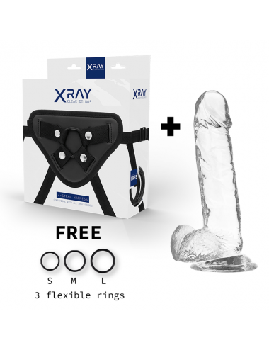 XRAY HARNESS + CLEAR COCK WITH BALLS 20CM X 4.5CM