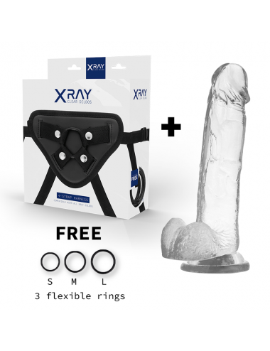 XRAY HARNESS + COCK WITH BALLS 22CM X 4.6CM