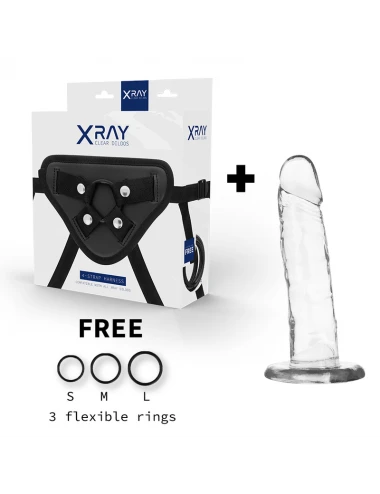 XRAY HARNESS + CLEAR COCK 18CM X 4CM