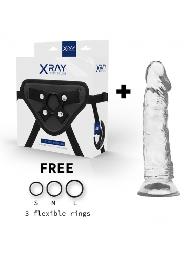 XRAY HARNESS + CLEAR COCK 19CM X 4CM