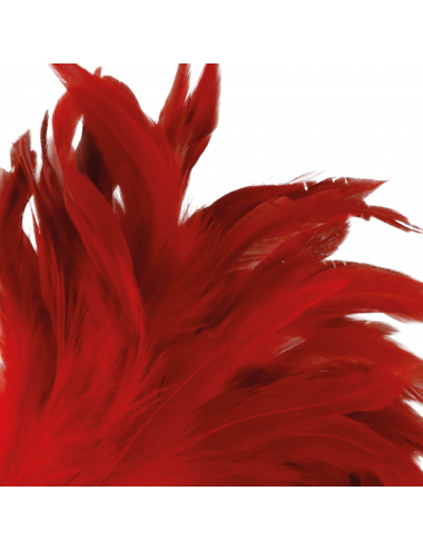 DARKNESS RED FEATHER  24CM