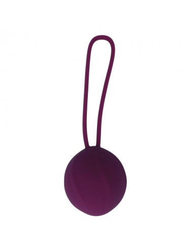 COVERME KEGEL KIT PURPLE