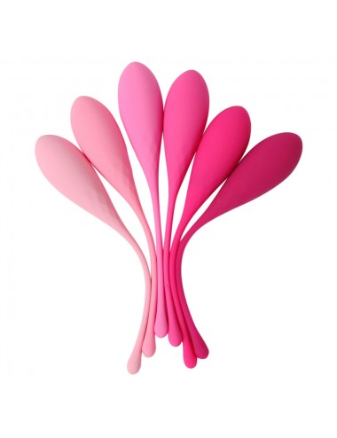 LESLIE KEGEL FIT PELVIC MUSCLE TRAINING SET 6 WEIGHTS