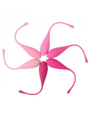 LESLIE KEGEL FIT PELVIC MUSCLE TRAINING SET 6 WEIGHTS