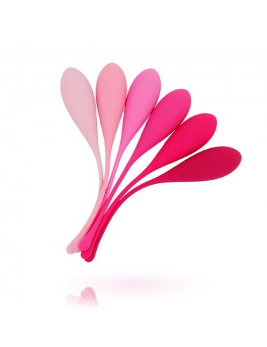 LESLIE KEGEL FIT PELVIC MUSCLE TRAINING SET 6 WEIGHTS