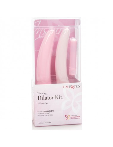 INSPIRE VIBRATING DILATOR KIT