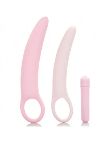 INSPIRE VIBRATING DILATOR KIT