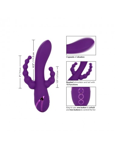 CALEXOTICS - LONG BEACH BOOTYLICIOUS PURPLE