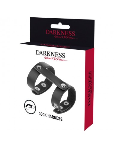 DARKNESS ADJUSTABLE LEATHER PENIS AND TESTICLES RING