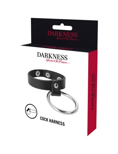 DARKNESS METAL RING FOR THE PENIS AND TESTICLES