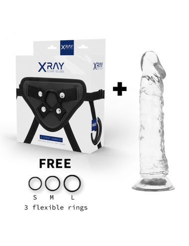 XRAY HARNESS + CLEAR COCK 21CM X 4CM