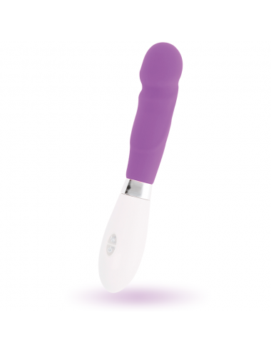 GLOSSY PAUL VIBRATOR PURPLE