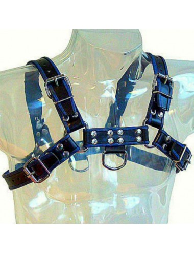 LEATHER BODY CHEST BULLDOG HARNESS BLACK/BLUE LEATHER