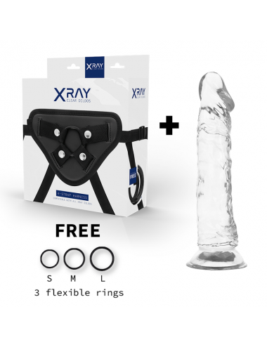 X RAY - HARNESS + CLEAR COCK 21 CM -O- 4 CM