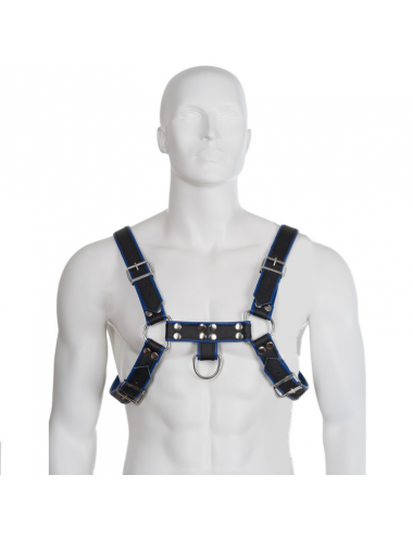 LEATHER BODY CHEST BULLDOG HARNESS BLACK/BLUE LEATHER