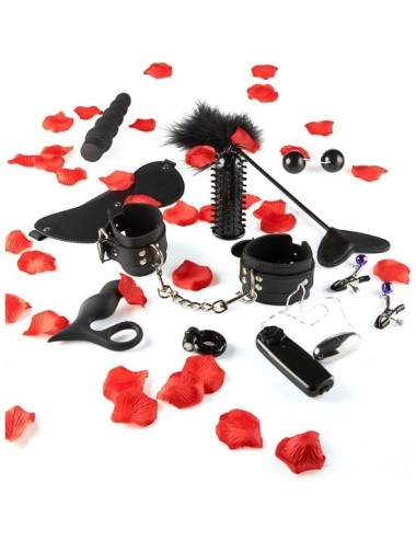TOYJOY - JUST FOR YOU LOVE TOY STARTER KIT