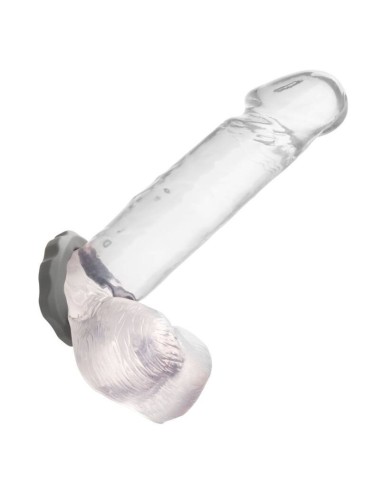 CALIFORNIA EXOTICS ALPHA ERECT RING GREY