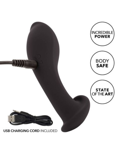 CALIFORNIA EXOTICS LIQUID SILICONE FLEX PROBE