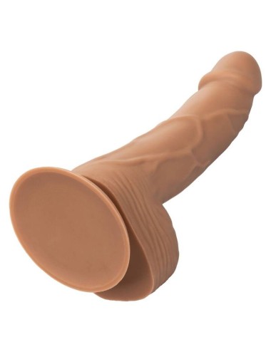 CALIFORNIA EXOTICS SILICONE STUDS 15,24 CM BROWN