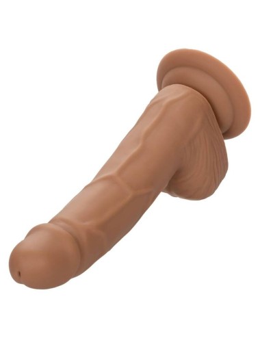 CALIFORNIA EXOTICS SILICONE STUDS 15,24 CM BROWN