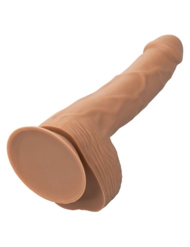 CALIFORNIA EXOTICS SILICONE STUDS 20,32 CM BROWN