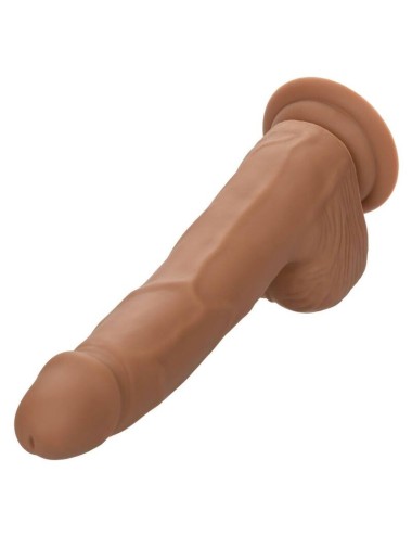 CALIFORNIA EXOTICS SILICONE STUDS 20,32 CM BROWN
