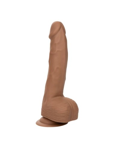 CALIFORNIA EXOTICS SILICONE STUDS 20,32 CM BROWN