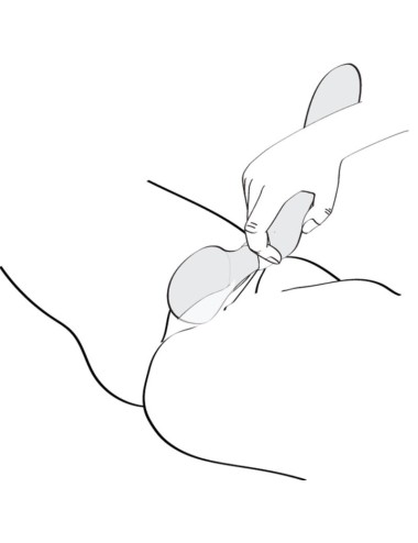 SHUNGA - ZOA INTIMATE MASSAGER FUCHSIA