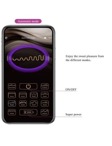 PRETTY LOVE - DOREEN PURPLE RECHARGEABLE VIBRATING EGG