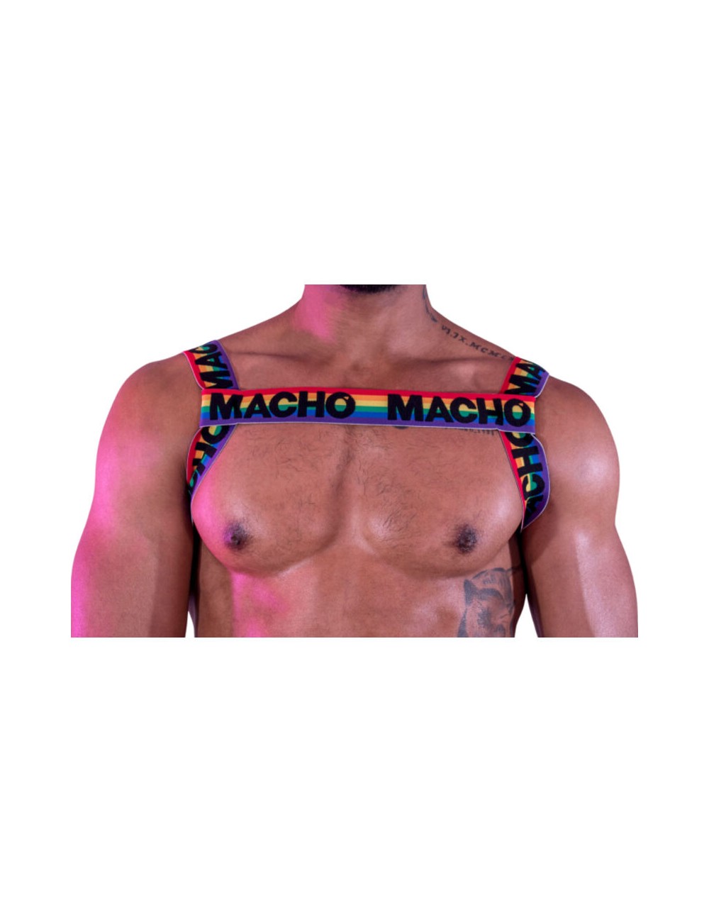 MACHO - DOUBLE HARNESS PRIDE LIMITED