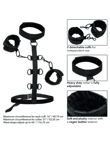 CALIFORNIA EXOTICS - BOUNDLESS COLLAR BODY RESTRAINT
