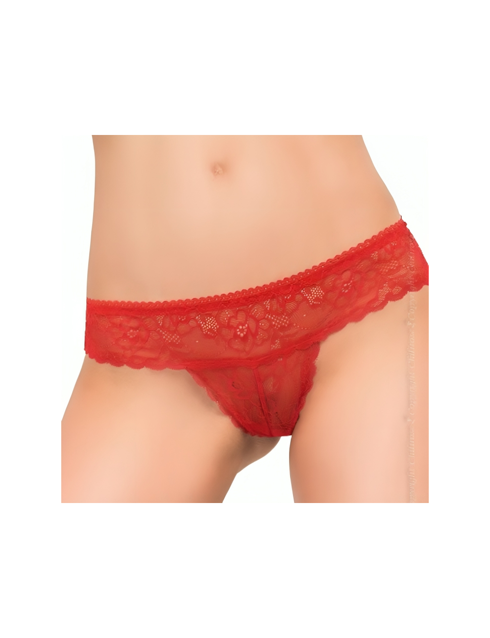 CHILIROSE - CR 3853 PANTIES RED S/M