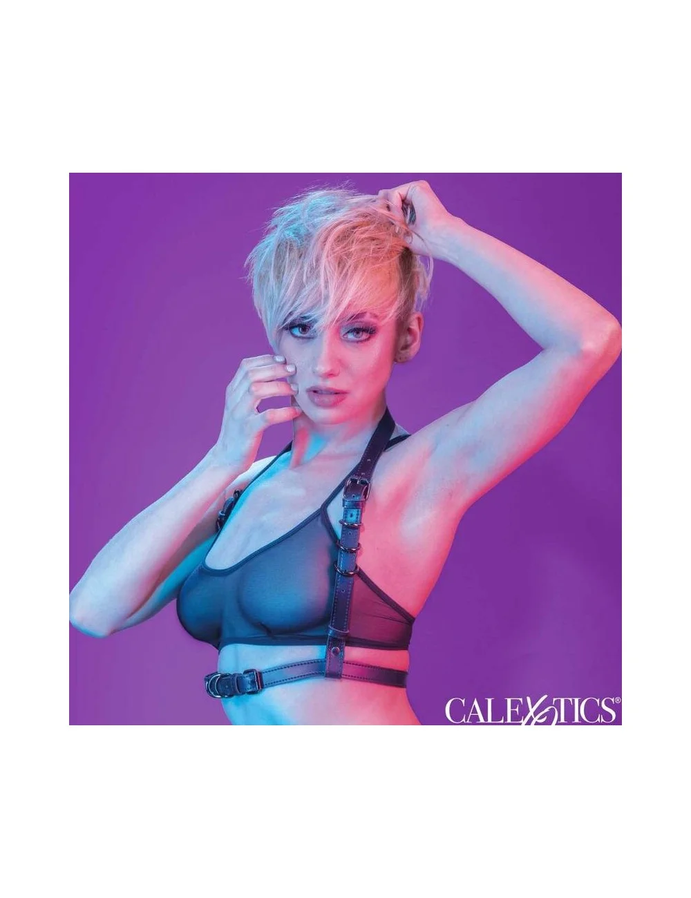 CALEXOTICS - EUPHORIA HALTER BUCKLE HARNESS BLACK CALEXOTICS - EUPHORIA HALTER BUCKLE HARNESS BLACK