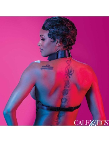 CALEXOTICS - EUPHORIA MULTI CHAIN COLLAR HARNESS