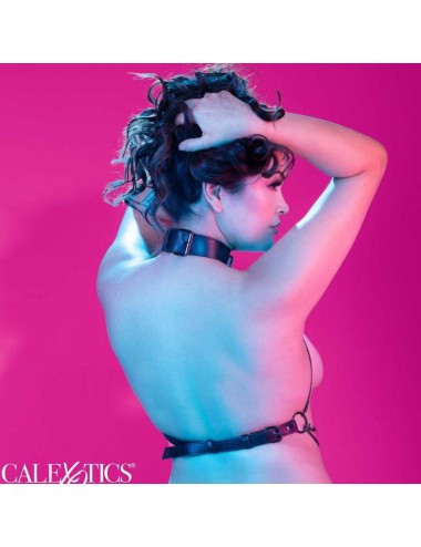 CALEXOTICS - EUPHORIA PLUS SIZE MULTI CHAIN COLLAR HARNESS