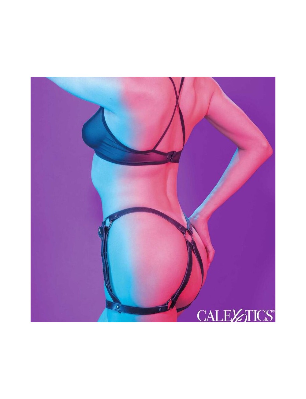 CALEXOTICS - EUPHORIA RIDING THIGH HARNESS