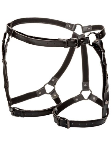 CALEXOTICS - EUPHORIA RIDING THIGH HARNESS