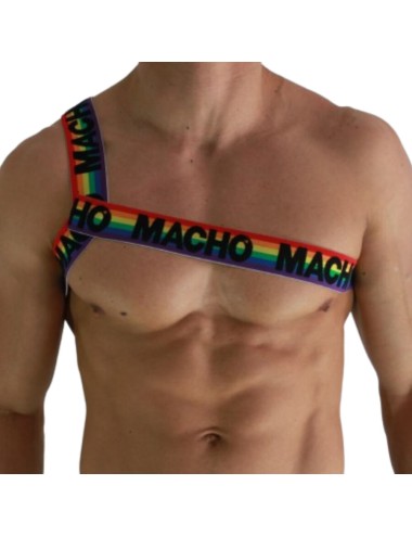 MACHO - ROMAN HARNESS PRIDE L/XL