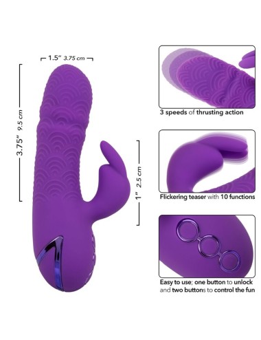 CALEXOTICS - MANHATTAN BEACH MARVEL VIBRATOR RABBIT PURPLE BY CALIFORNIA DREAMING