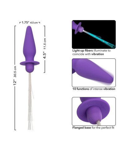 CALEXOTICS - SOUTHERN LIGHTS LIGHT UP ANAL PLUG 10 VIBRATIONS SILICONE PURPLE