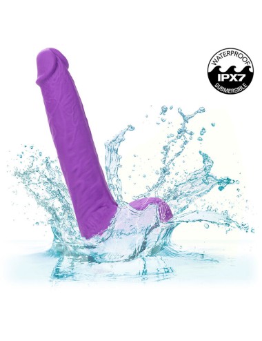 CALEXOTICS - STUDS RECHARGEABLE AND ROTATING VIBRATOR 10 VIBRATIONS PURPLE