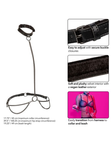 CALEXOTICS - EUPHORIA CHAIN HALTER COLLAR & LEASH