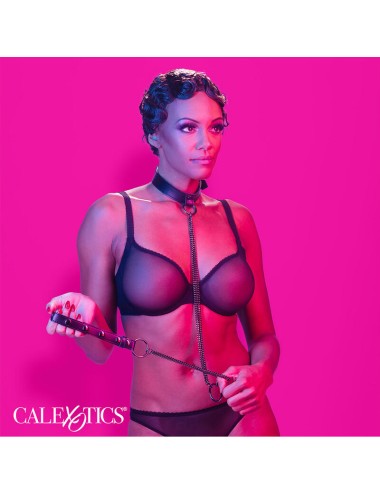 CALEXOTICS - EUPHORIA CHAIN HALTER COLLAR & LEASH