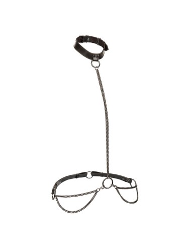 CALEXOTICS - EUPHORIA CHAIN HALTER COLLAR & LEASH PLUS SIZE